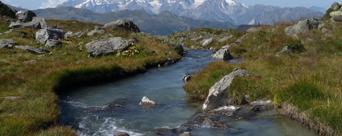 Quiétude d'un torrent traversant un coin de paradis dans le Valais suisse (photo : M.De Vlaminck)